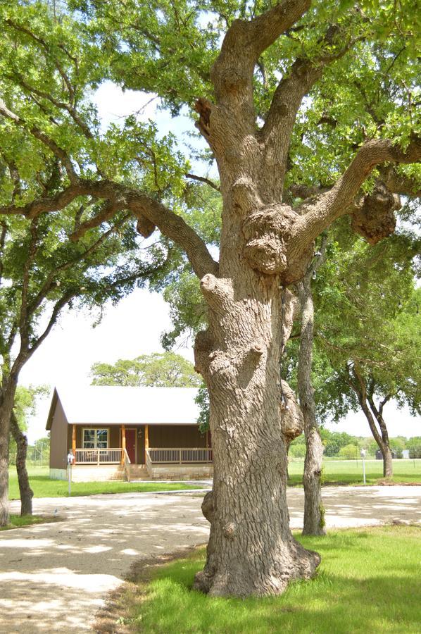 Vineyard Trail Cottages- Adults Only Fredericksburg Rom bilde